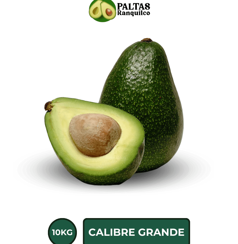 Palta Hass 10KG calibre grande - Pack fresco para comprar online