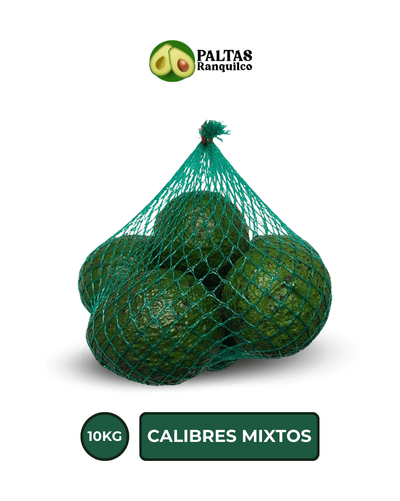 Palta Hass 10KG Calibre Mixto