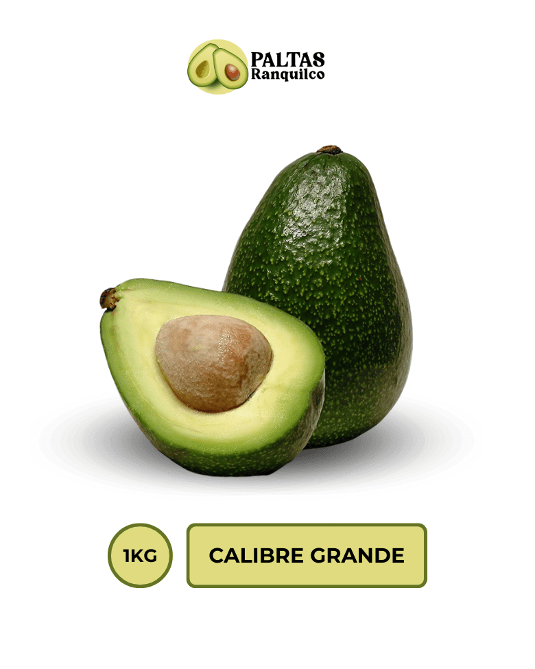 Palta Hass 1KG Calibre Grande