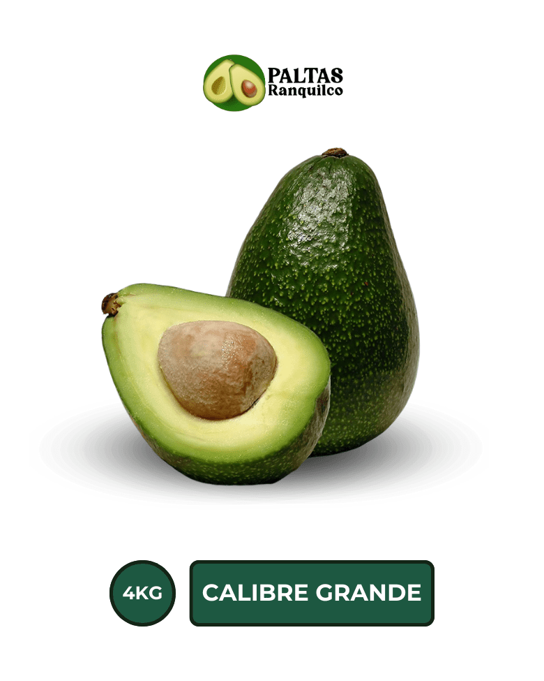 Palta Hass 4KG Calibre Grande